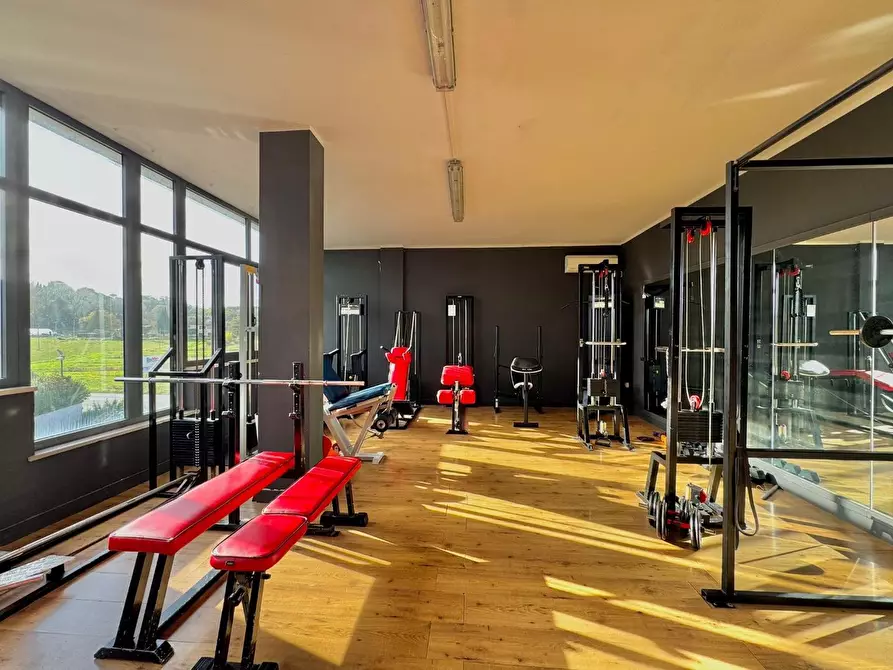 Immagine 1 di Attività commerciale in vendita  a Casciana Terme Lari