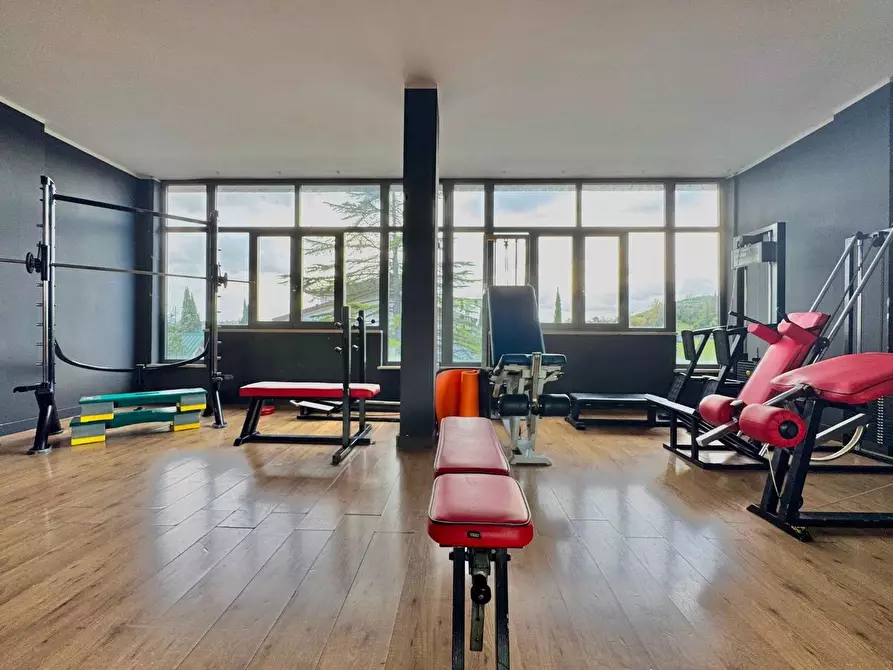 Immagine 4 di Attività commerciale in vendita  a Casciana Terme Lari