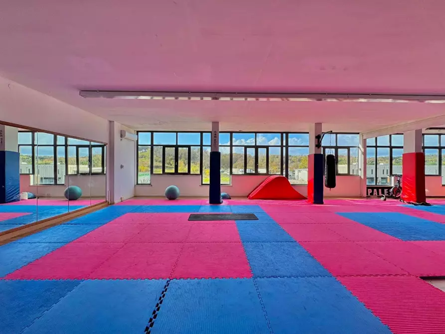 Immagine 6 di Attività commerciale in vendita  a Casciana Terme Lari