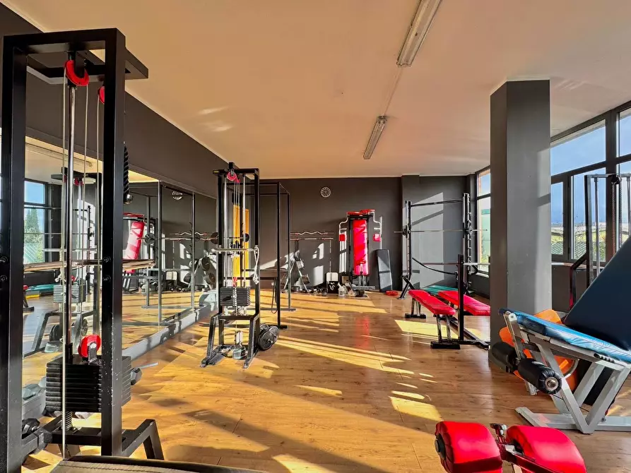 Immagine 3 di Attività commerciale in vendita  a Casciana Terme Lari