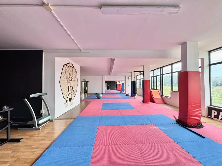 Immagine 10 di Attività commerciale in vendita  a Casciana Terme Lari