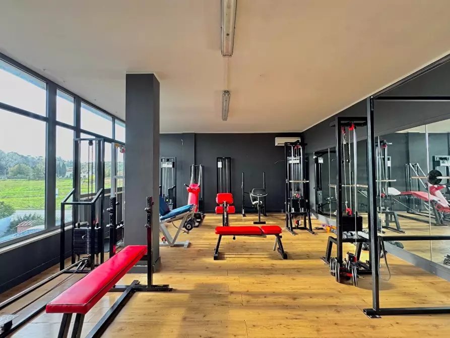 Immagine 5 di Attività commerciale in vendita  a Casciana Terme Lari