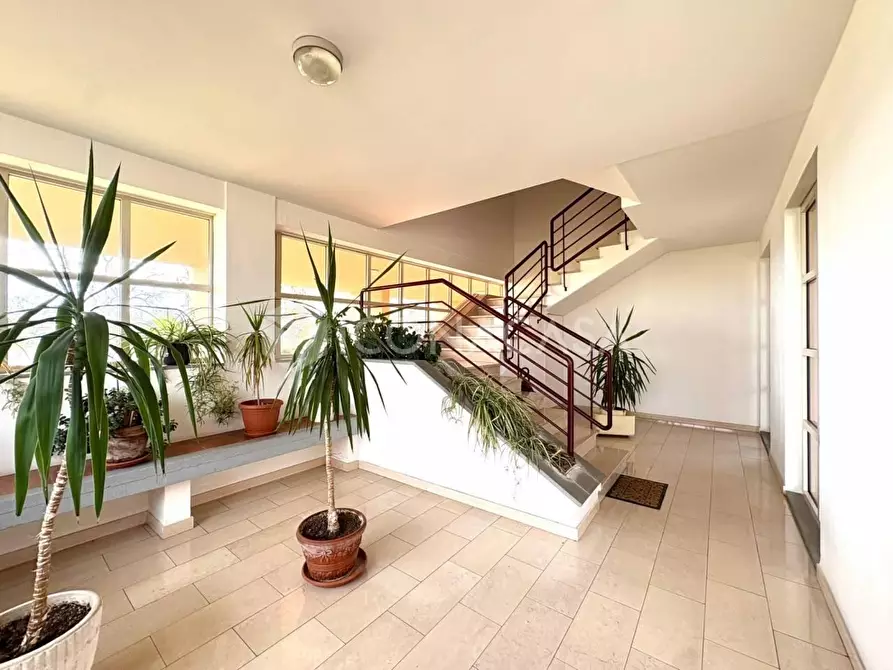 Immagine 18 di Appartamento in vendita  a Castelfranco Di Sotto