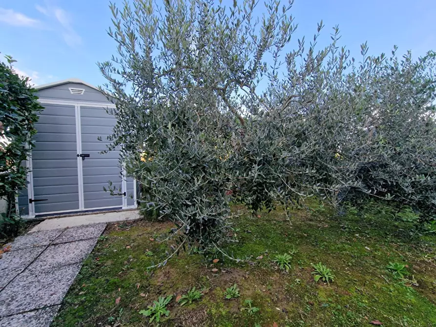 Immagine 4 di Appartamento in vendita  a Crespina Lorenzana