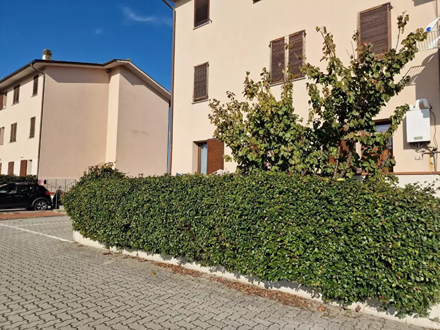 Immagine 35 di Appartamento in vendita  a Crespina Lorenzana