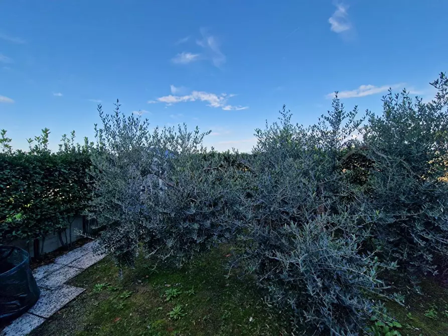 Immagine 3 di Appartamento in vendita  a Crespina Lorenzana