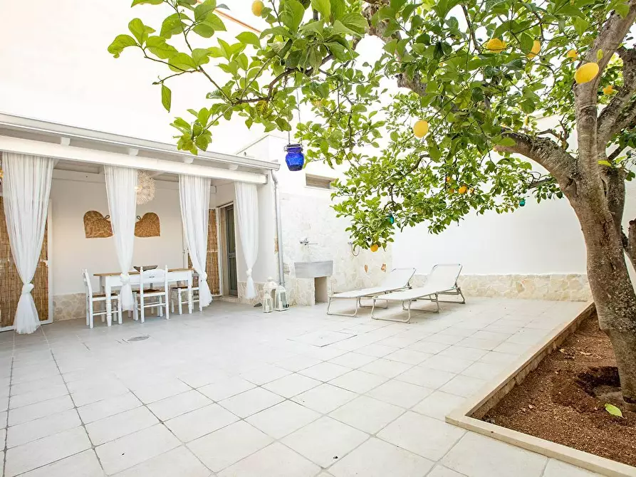 Immagine 5 di Villa in vendita  a Porto Cesareo