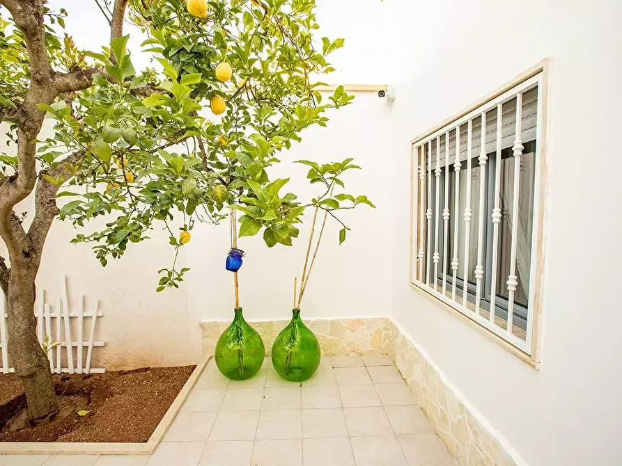 Immagine 8 di Villa in vendita  a Porto Cesareo