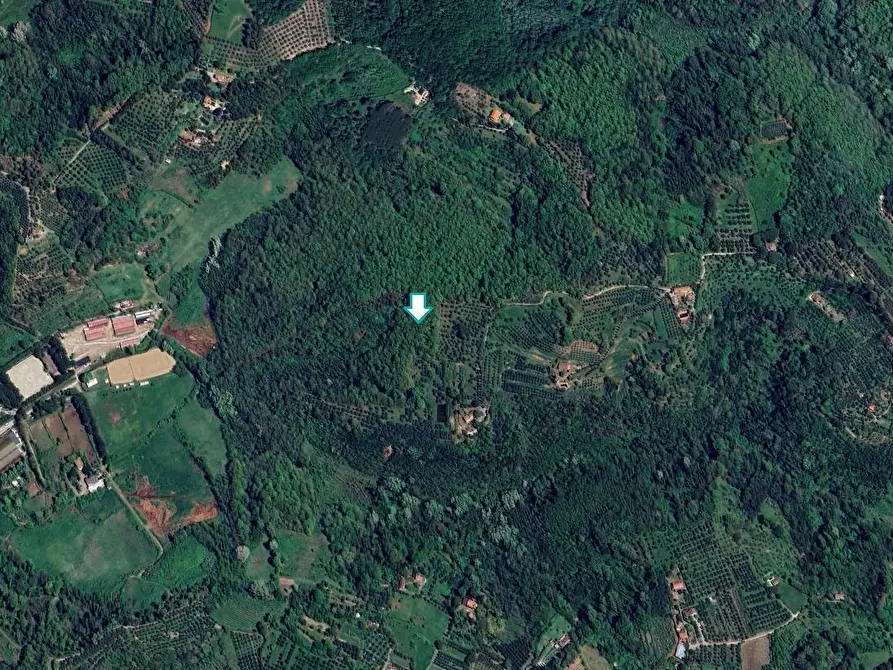 Immagine 1 di Magazzino in vendita  a Pontedera