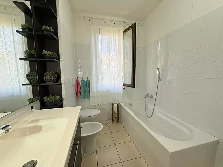 Immagine 27 di Terratetto in vendita  a Bibbona