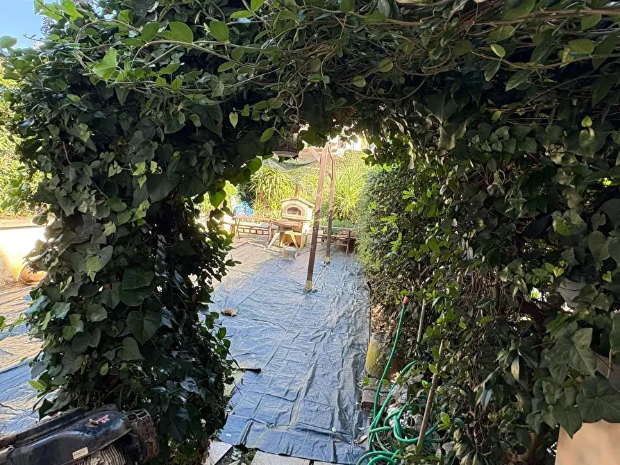 Immagine 18 di Terratetto in vendita  a Bibbona