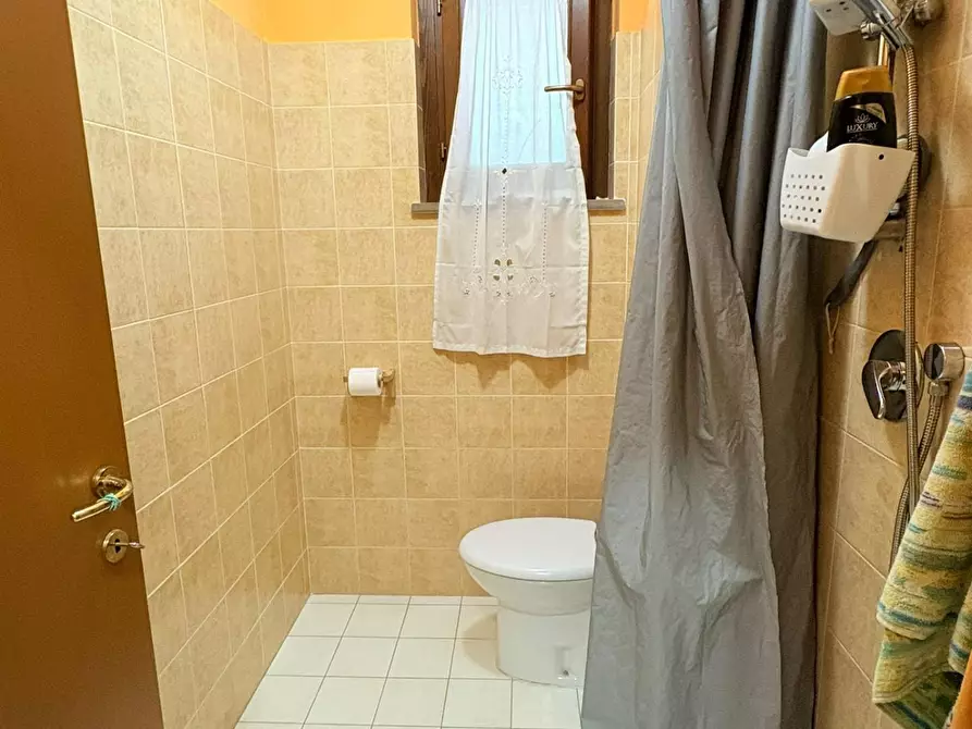 Immagine 14 di Terratetto in vendita  a Bibbona