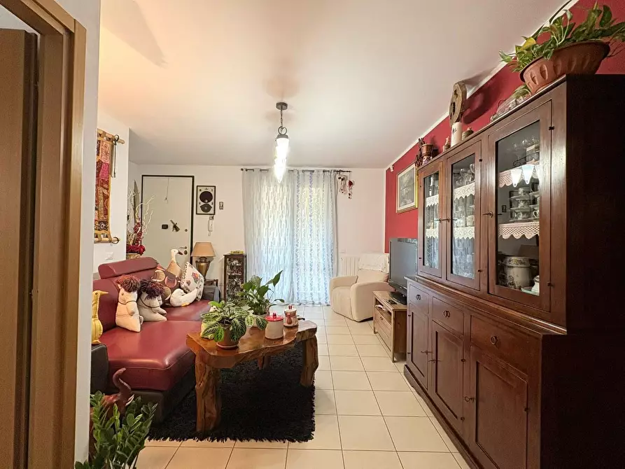 Immagine 3 di Terratetto in vendita  a Bibbona