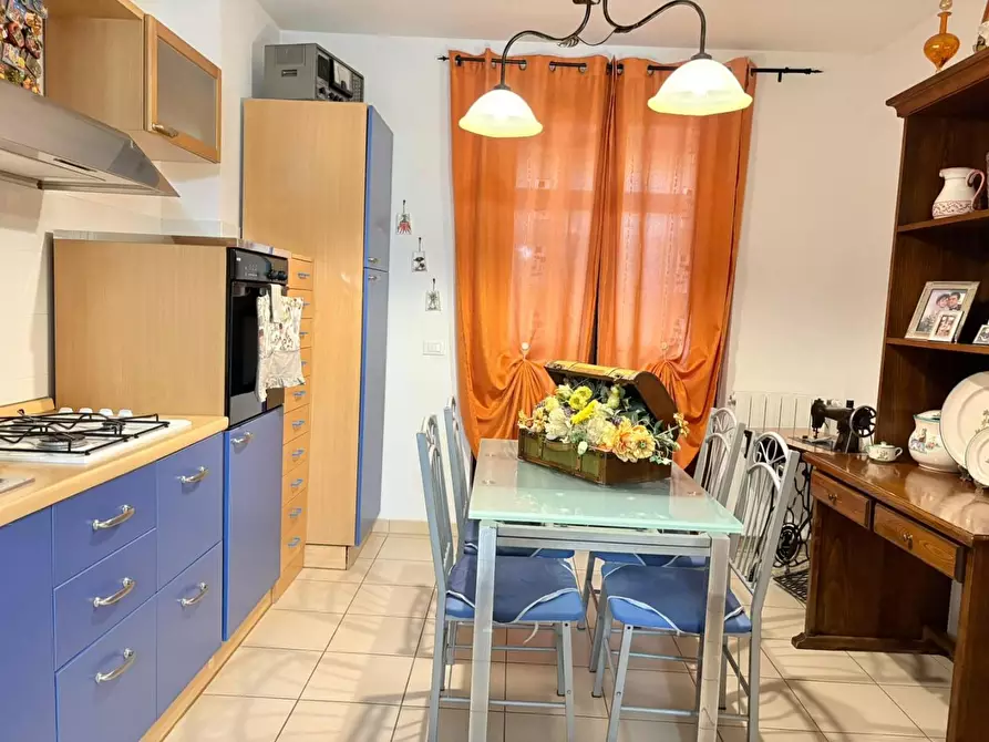 Immagine 9 di Terratetto in vendita  a Bibbona