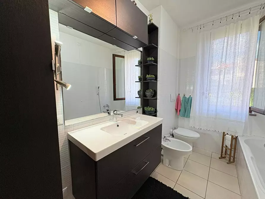 Immagine 25 di Terratetto in vendita  a Bibbona