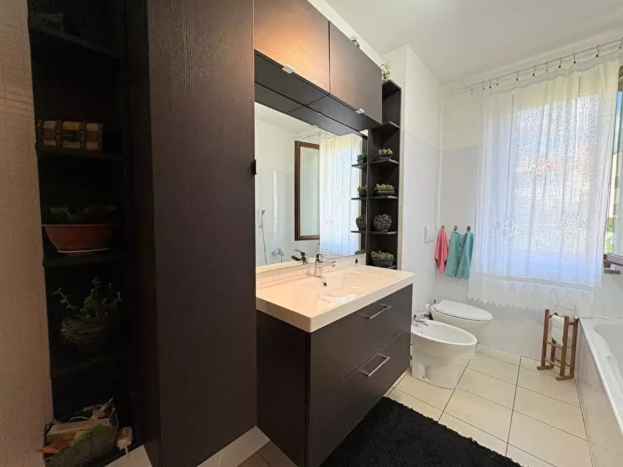 Immagine 28 di Terratetto in vendita  a Bibbona