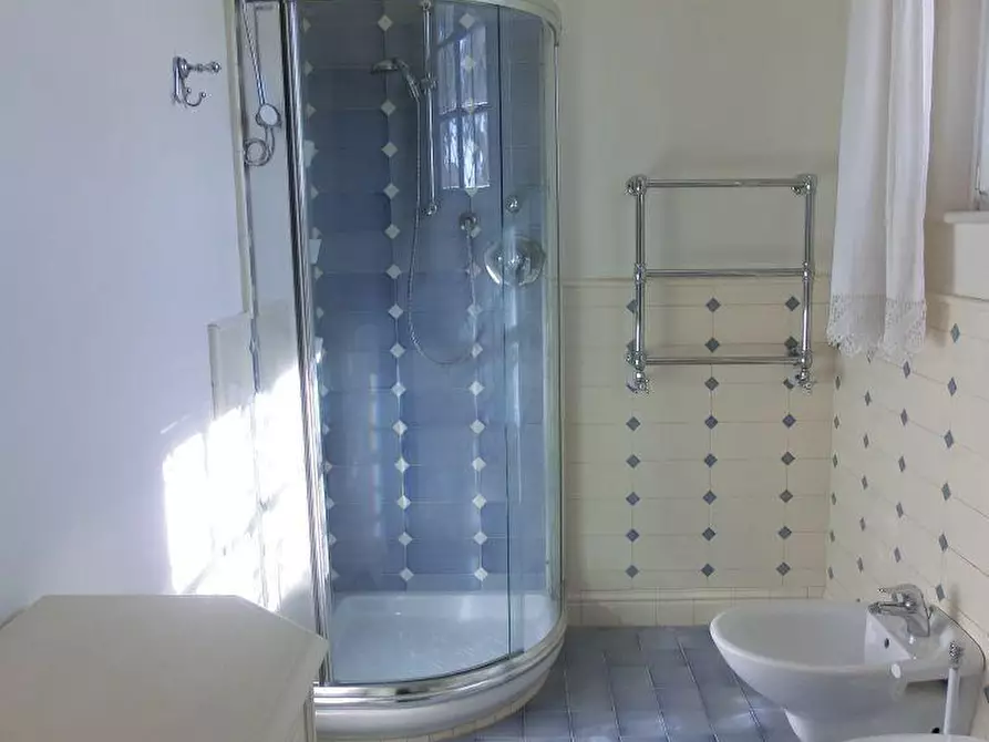 Immagine 9 di Villa in affitto  a Forte Dei Marmi