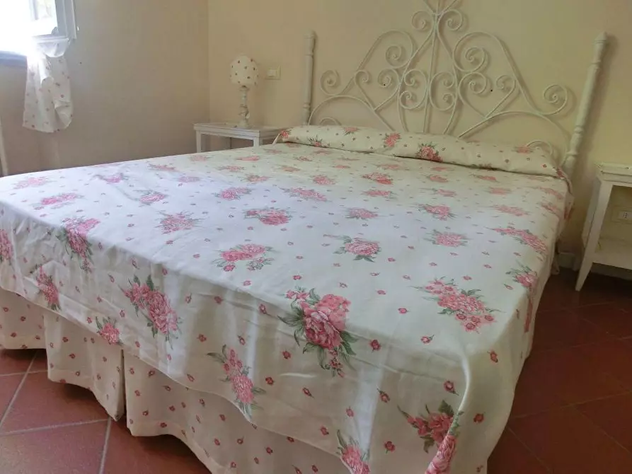 Immagine 15 di Villa in affitto  a Forte Dei Marmi