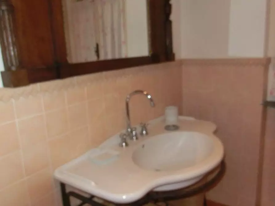 Immagine 21 di Villa in affitto  a Forte Dei Marmi