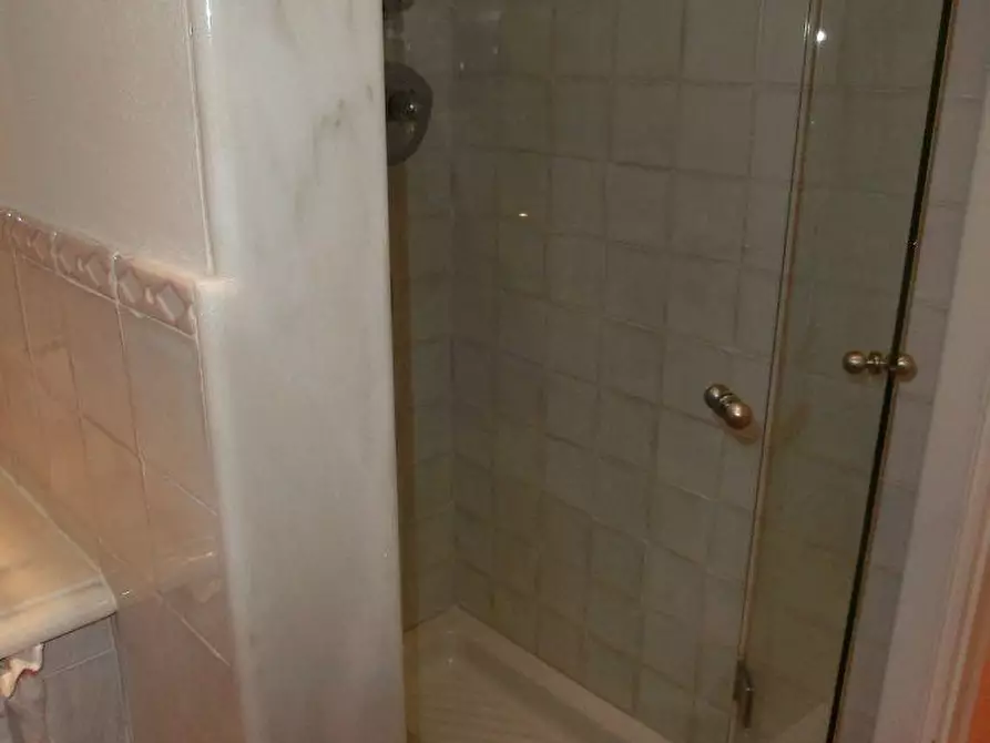 Immagine 10 di Villa in affitto  a Forte Dei Marmi