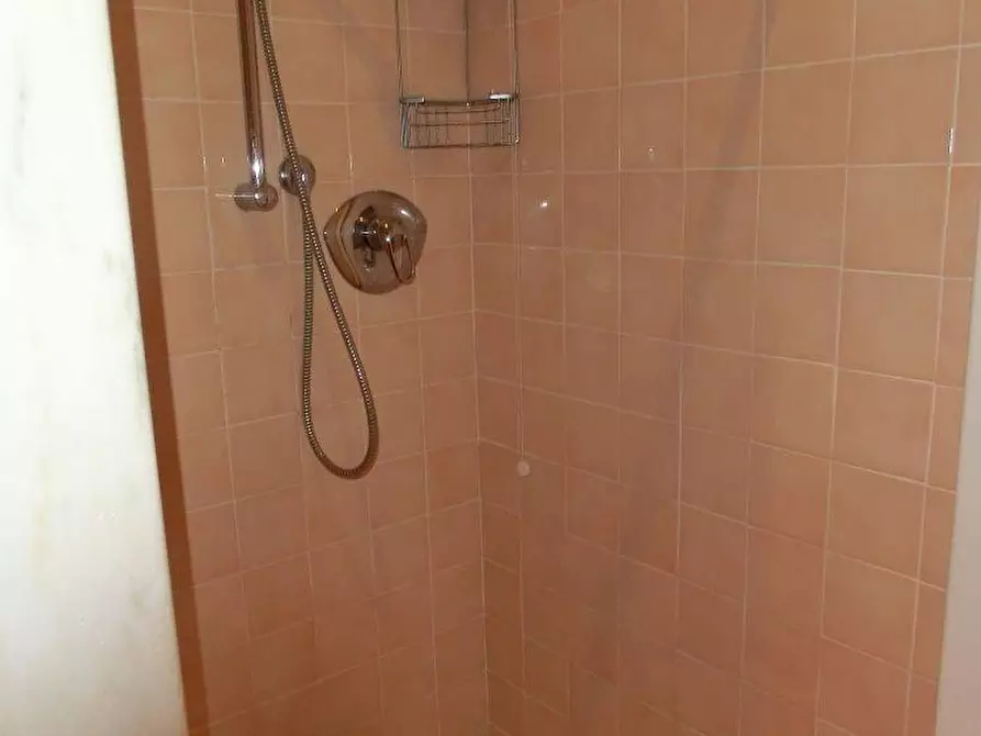 Immagine 20 di Villa in affitto  a Forte Dei Marmi