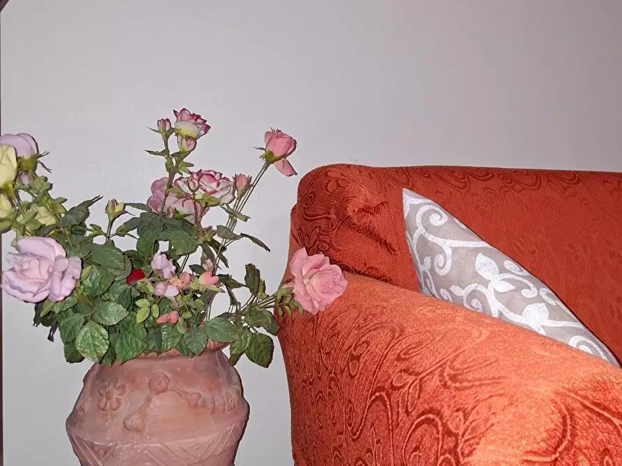 Immagine 9 di Appartamento in vendita  a Bientina