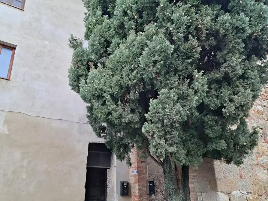 Immagine 9 di Casa colonica in vendita  a Colle Di Val D'elsa