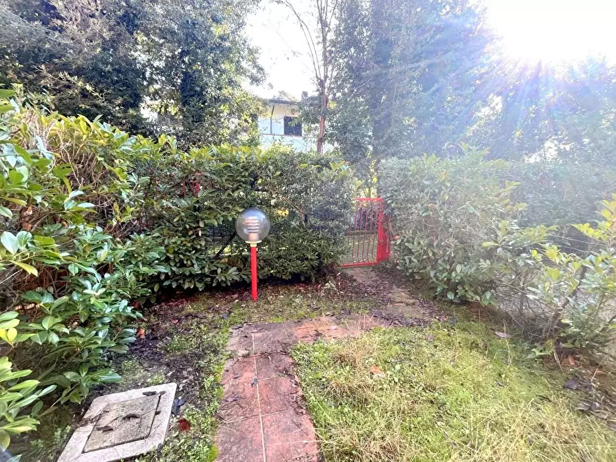 Immagine 2 di Villetta a schiera in vendita  a Massa