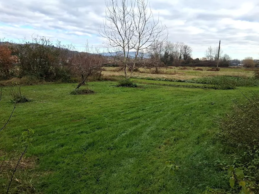 Immagine 8 di Deposito in vendita  a Lucca