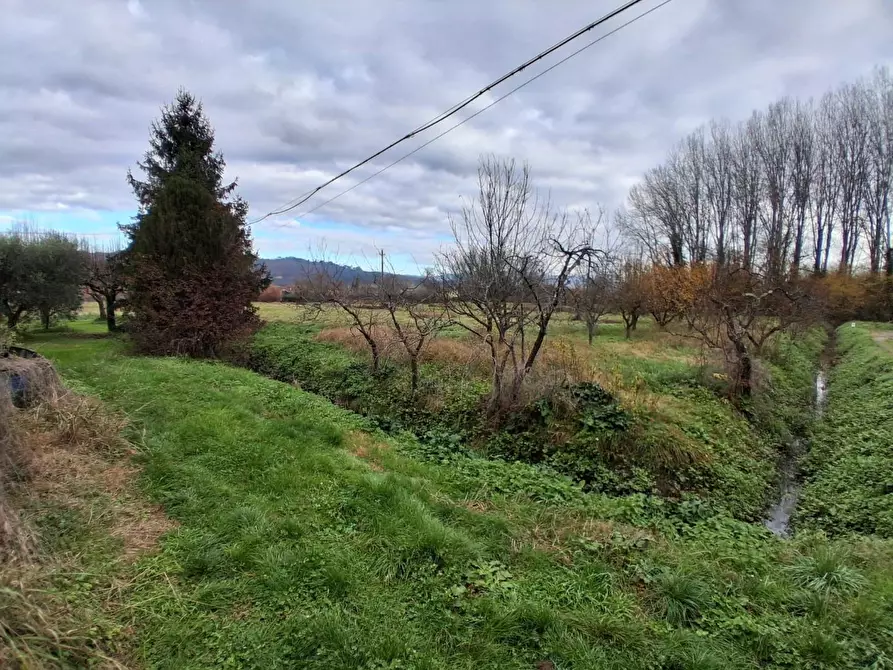 Immagine 5 di Deposito in vendita  a Lucca