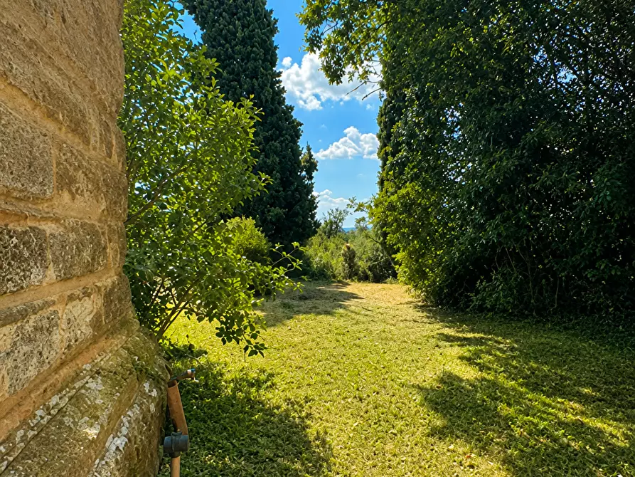 Immagine 3 di Casa colonica in vendita  a Poggibonsi