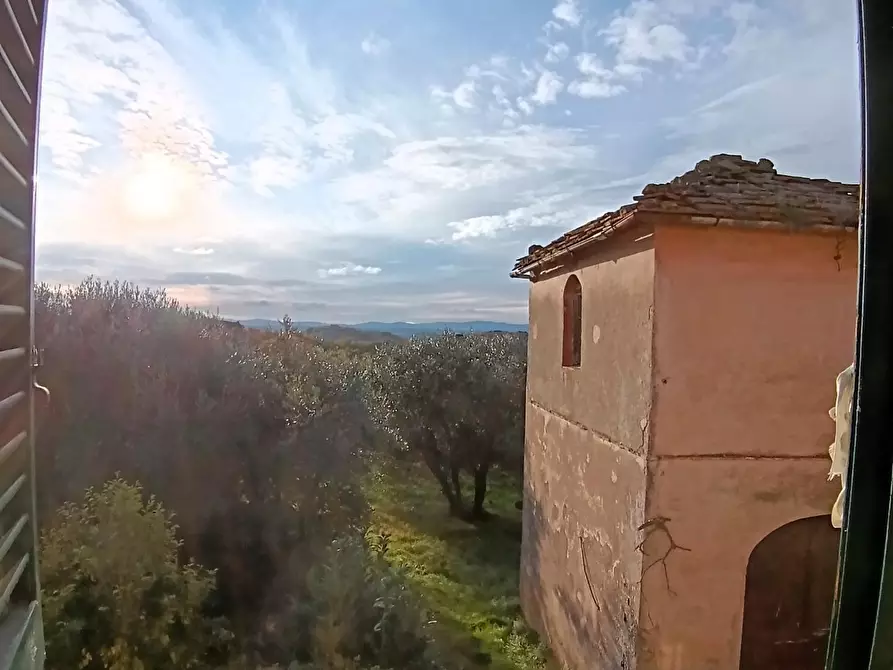Immagine 5 di Casa colonica in vendita  a Poggibonsi