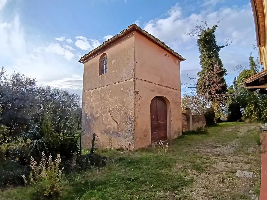Immagine 4 di Casa colonica in vendita  a Poggibonsi
