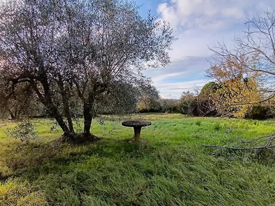 Immagine 23 di Casa colonica in vendita  a Poggibonsi