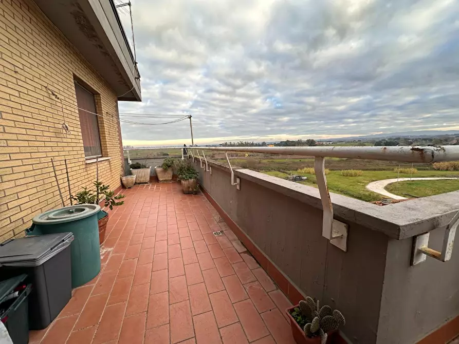 Immagine 28 di Appartamento in vendita  a Collesalvetti