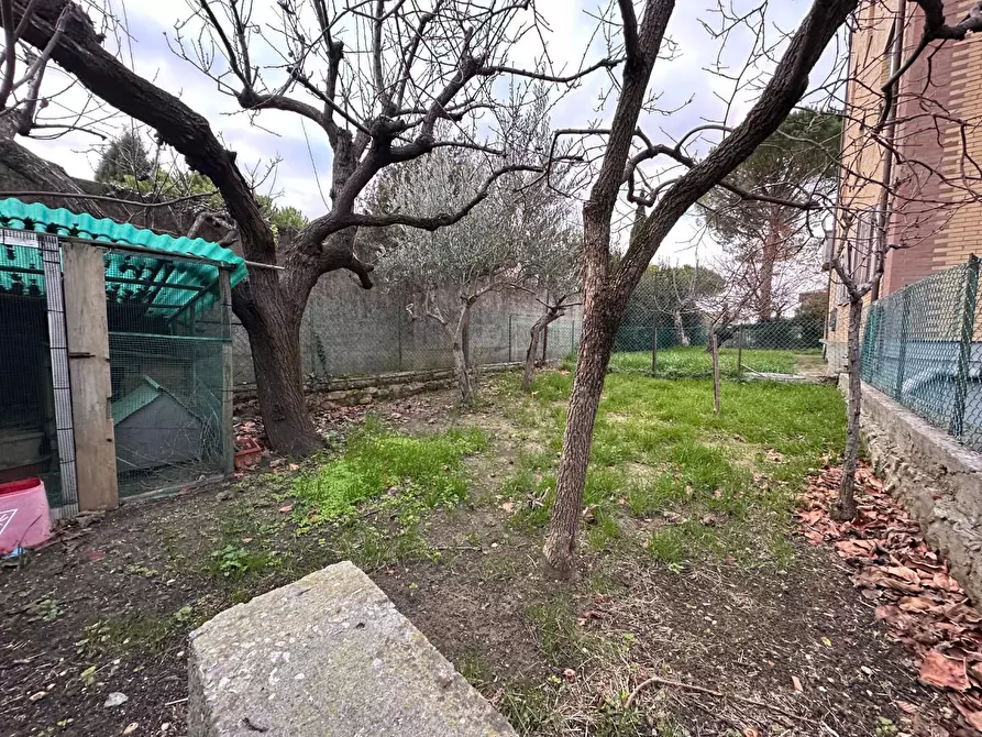 Immagine 33 di Appartamento in vendita  a Collesalvetti