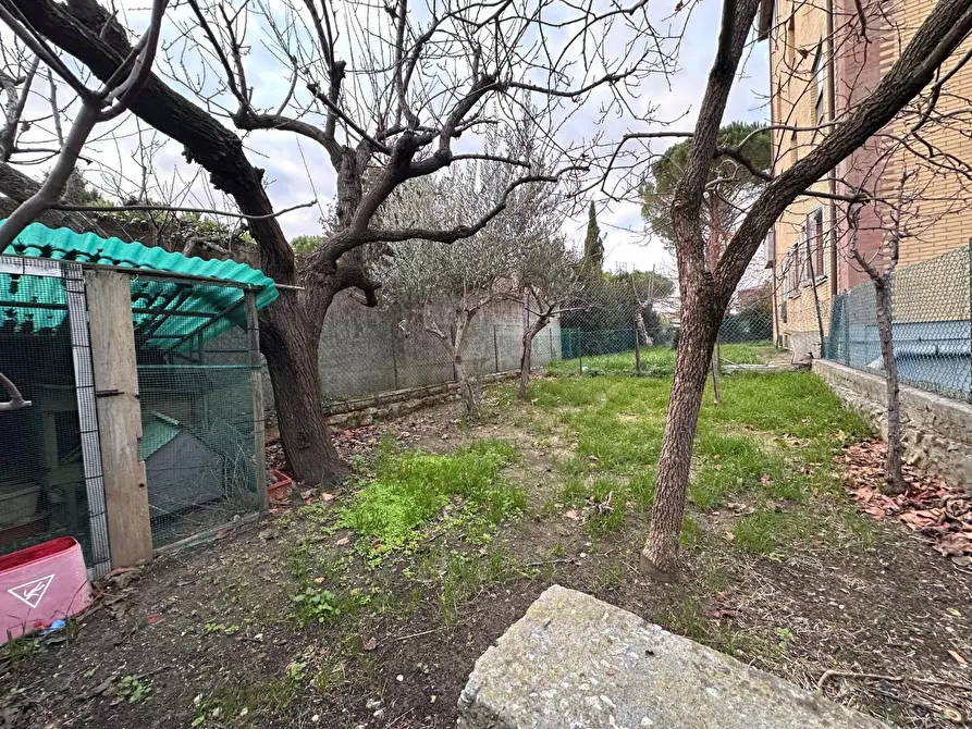 Immagine 31 di Appartamento in vendita  a Collesalvetti