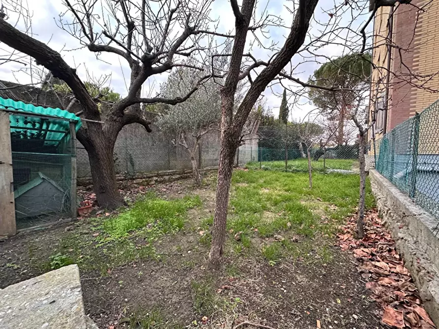 Immagine 32 di Appartamento in vendita  a Collesalvetti