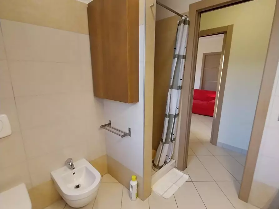 Immagine 25 di Appartamento in vendita  a Vicopisano