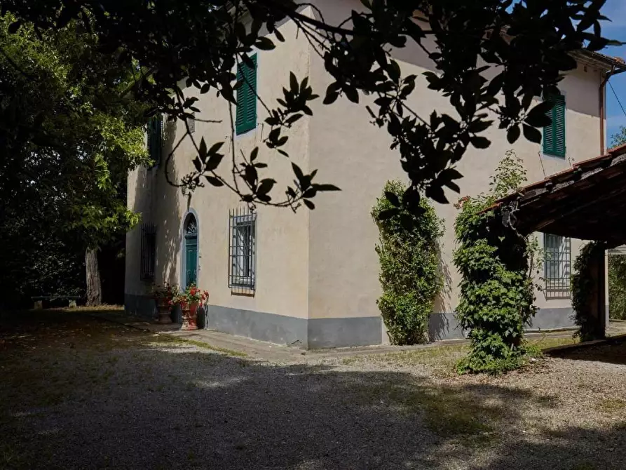 Immagine 6 di Casa colonica in vendita  a Peccioli