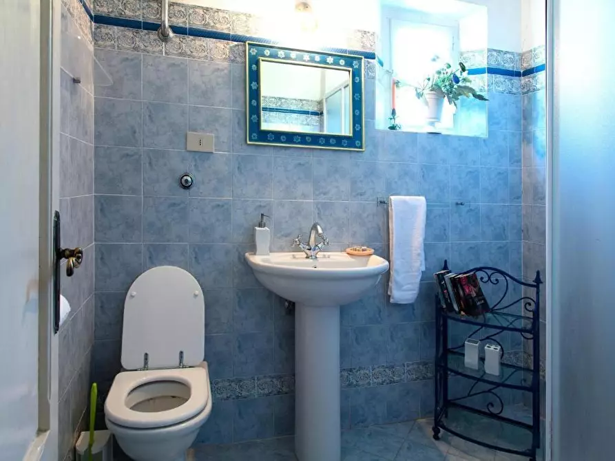 Immagine 21 di Casa colonica in vendita  a Peccioli