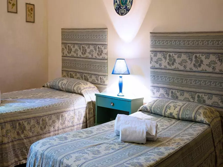 Immagine 25 di Casa colonica in vendita  a Peccioli