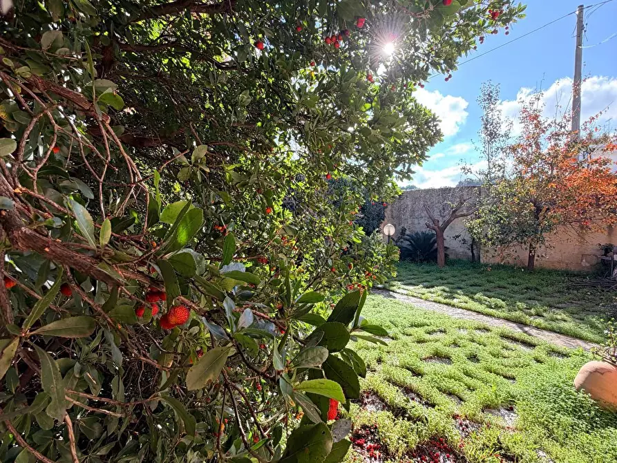 Immagine 56 di Appartamento in vendita  a Lecce