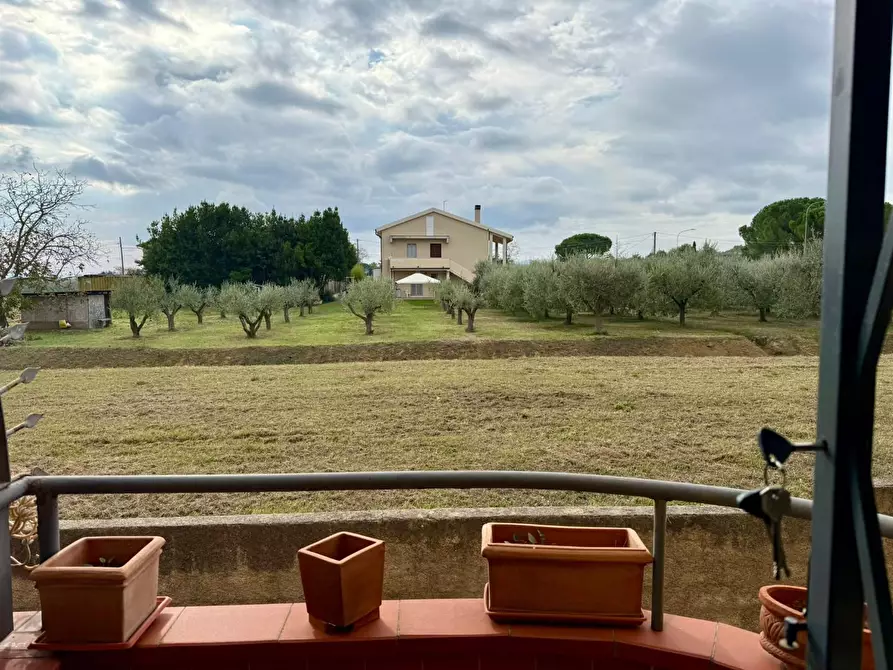 Immagine 31 di Villetta a schiera in vendita  a Terricciola