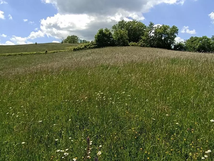 Immagine 1 di Terreno residenziale in vendita  a Tizzano Val Parma