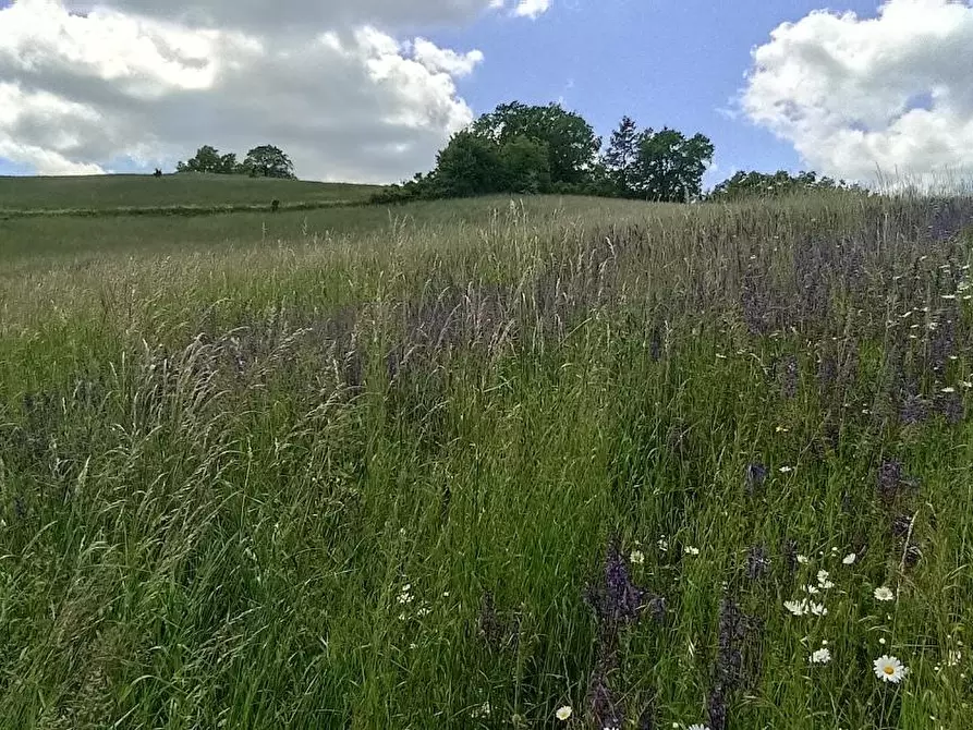 Immagine 4 di Terreno residenziale in vendita  a Tizzano Val Parma