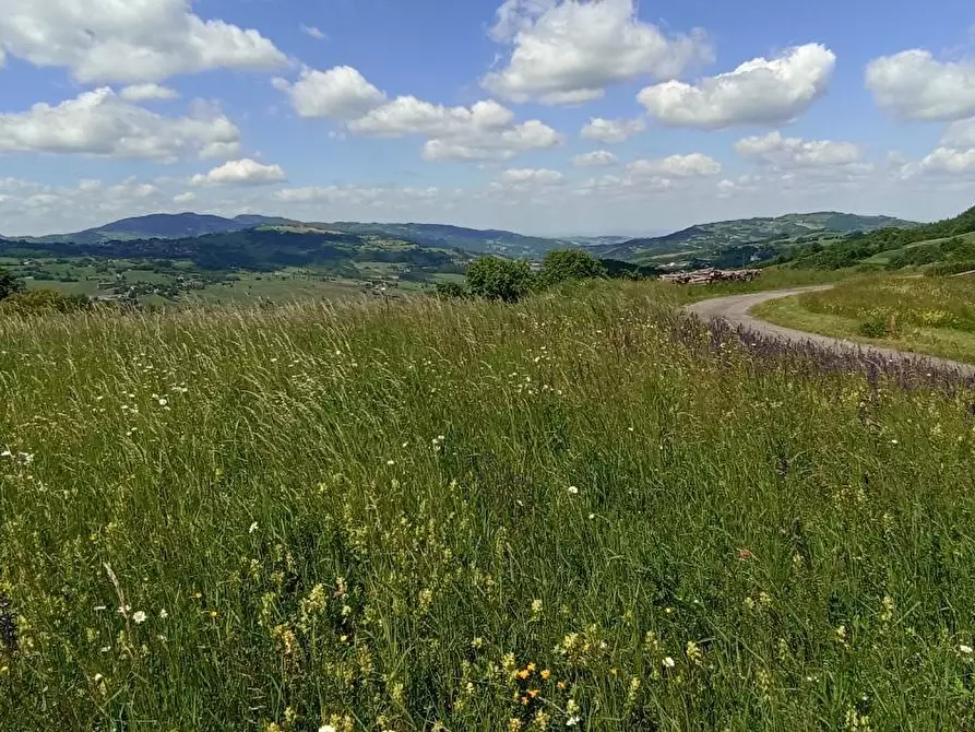 Immagine 3 di Terreno residenziale in vendita  a Tizzano Val Parma