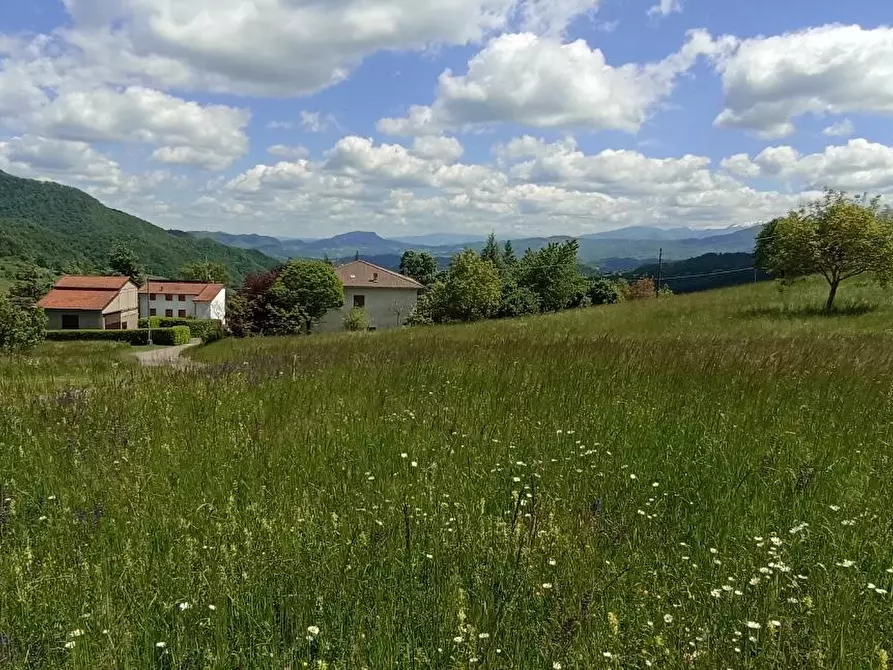 Immagine 2 di Terreno residenziale in vendita  a Tizzano Val Parma