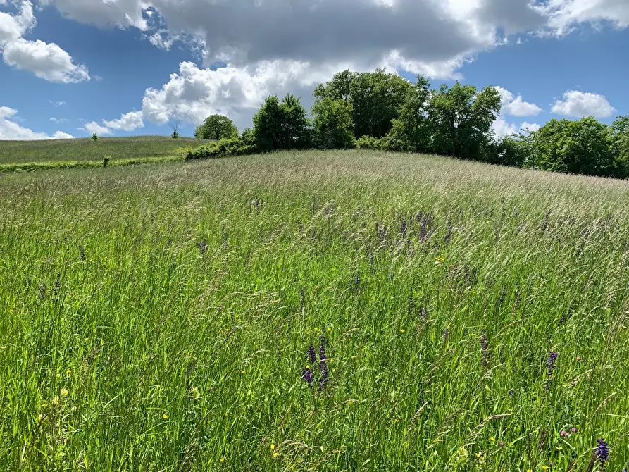 Immagine 8 di Terreno residenziale in vendita  a Tizzano Val Parma