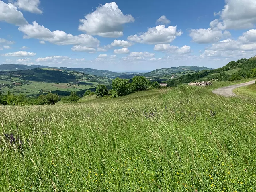 Immagine 9 di Terreno residenziale in vendita  a Tizzano Val Parma